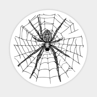 scary spider on a cobweb, halloween style Magnet